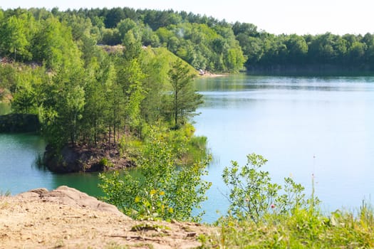 Lake island and green forest trees view from above. Beautiful sunny landscape