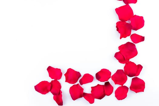 Frame of artificial rose petals on the white background