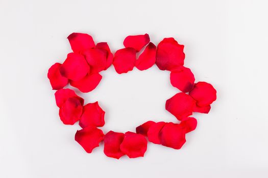 Frame of artificial rose petals on the white background