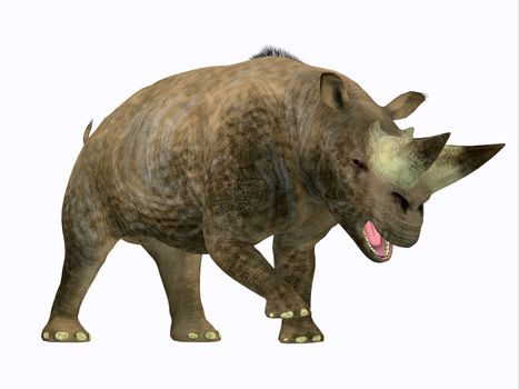 Arsinoitherium was a herbivorous rhinoceros-like mammal that lived in Africa in the Early Oligocene Period.