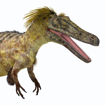 Austroraptor was a carnivorous theropod dinosaur that lived in Argentina in the Cretaceous Period.