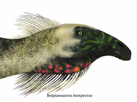 Beipiaosaurus was a herbivorous theropod dinosaur that lived in China in the Cretaceous Period.