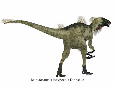 Beipiaosaurus was a herbivorous theropod dinosaur that lived in China in the Cretaceous Period.