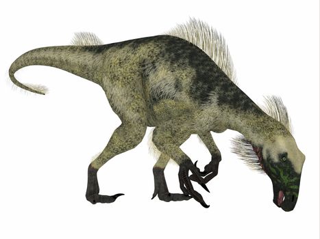 Beipiaosaurus was a herbivorous theropod dinosaur that lived in China in the Cretaceous Period.