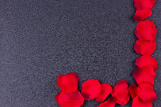 Artificial petals red roses black background frame