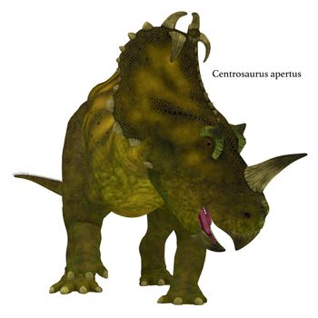 Centrosaurus is a herbivorous Ceratopsian dinosaur that lived in Canada in the Cretaceous Period.