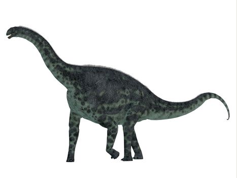 Cetiosaurus was a herbivorous sauropod dinosaur that lived in Morocco, Africa in the Jurassic Period.