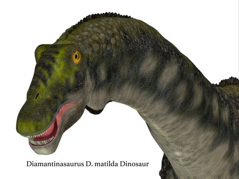 Diamantinasaurus was a herbivorous sauropod dinosaur that lived in Australia during the Cretaceous Period.