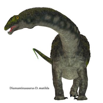 Diamantinasaurus was a herbivorous sauropod dinosaur that lived in Australia during the Cretaceous Period.