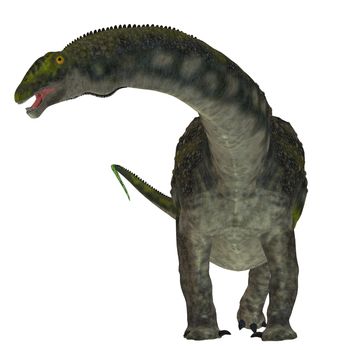 Diamantinasaurus was a herbivorous sauropod dinosaur that lived in Australia during the Cretaceous Period.