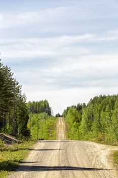 Gravel Road in Sweden with Forest.