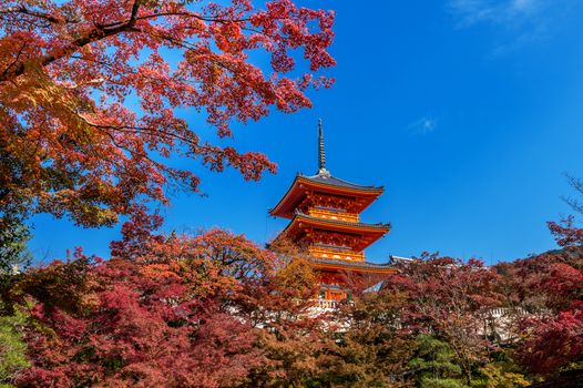 Kiyomizu-dera in autumn, Kyoto in Japan.