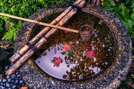 Leaf of autumn floating on water.