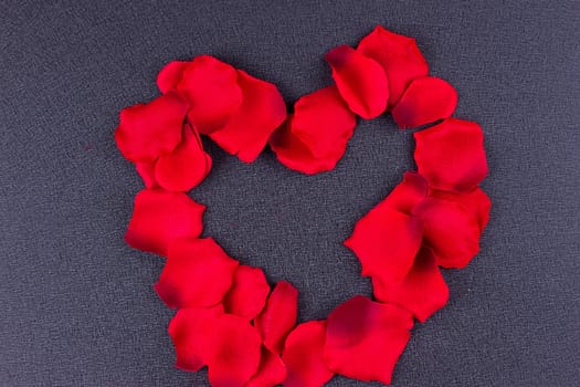 Artificial petals red roses black background frame