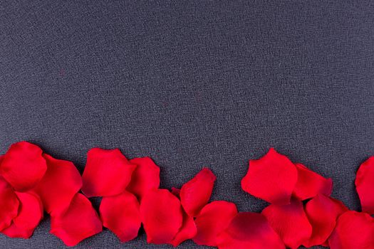 Artificial petals red roses black background frame