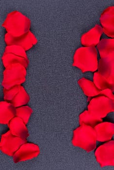 Artificial petals red roses black background frame