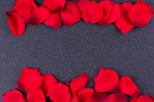 Artificial petals red roses black background frame