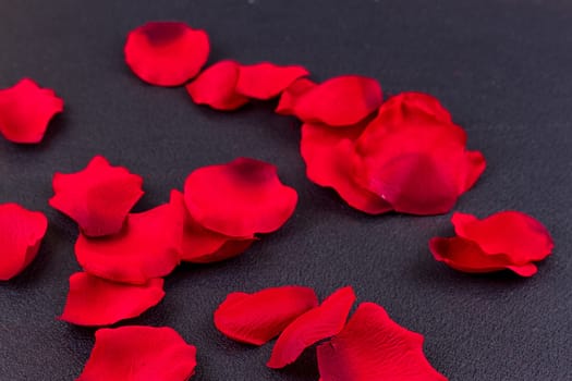 Artificial petals red roses black background frame