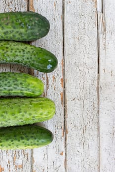 Cucumbers, mini cucumber on the white background