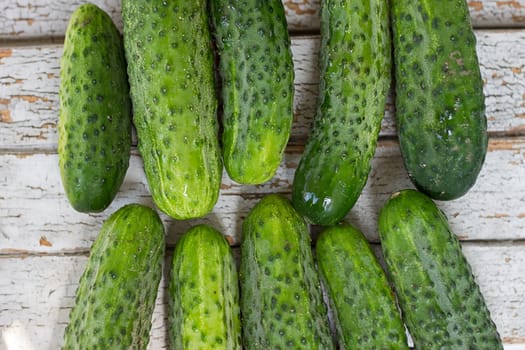 Cucumbers, mini cucumber on the white background