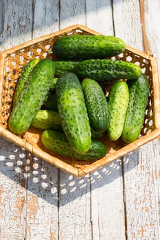 Cucumber basket on the white wooden background