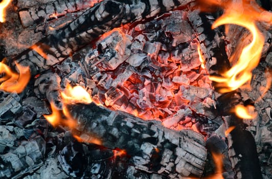 pieces of wood burning firewood in the evening