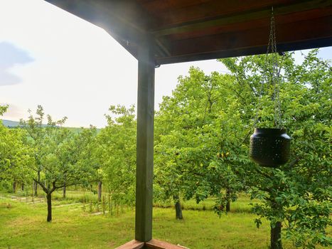 Wooden garden shed in a beautiful rural orchard. Close-up.