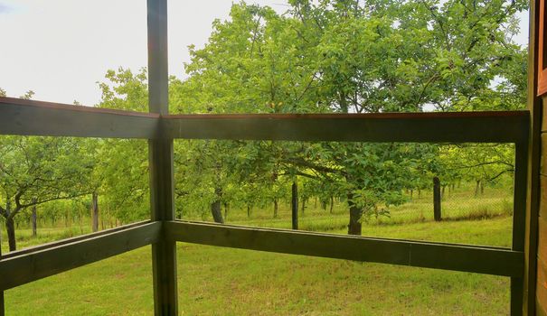 Wooden garden shed in a beautiful rural orchard. Close-up.