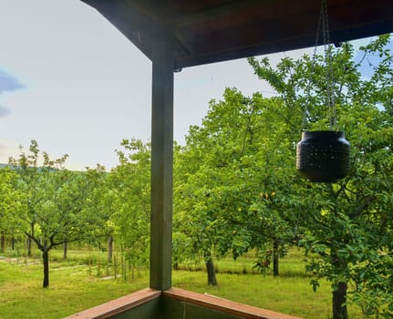 Small house cabin shed. Cute summer cabin in rural orchard.  Close-up.