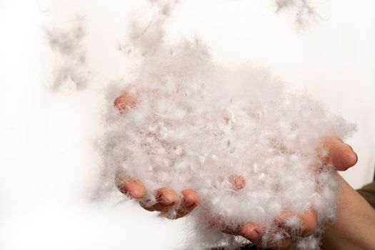 Woman's hands full of goose down on a studio background