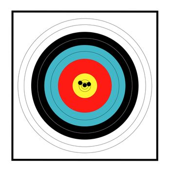 A target with a grouping of bullet holes close to the bulls eye