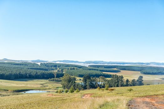 A landscape with plantations at Tortoni near Maclear in the Eastern Cape Province