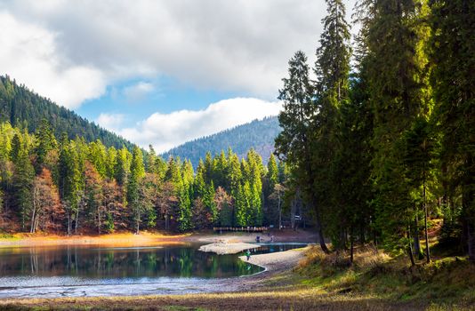 beautiful scenery around the Synevyr lake. tall trees around the body of water in mountains. lovely autumn weather with cloudy sky