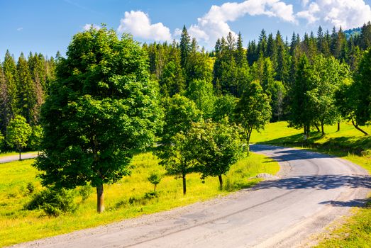 serpentine turnaround on forested hill. lovely summer scenery in mountains. travel concept