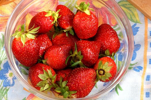 Fresh crop of strawberry from the Russian giving in a transparent salad bowl                               