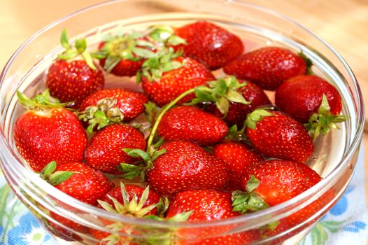 Fresh crop of strawberry from the Russian giving in capacity with water