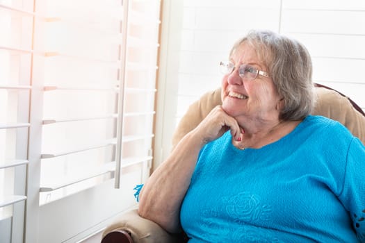 Content Senior Woman Gazing Out of Her Window.