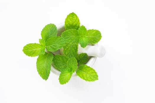 Mint in porcelain mortar and pestle  on white  background.