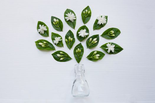 Glass Bottle with jasmine flower and leaves on white background.