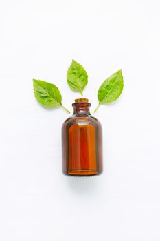 Basil essential oil with Basil leaves on white  blackground.