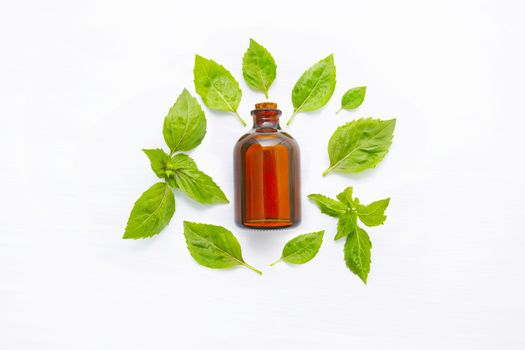 Basil essential oil with Basil leaves on white  blackground.