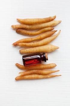 Lesser Galangal Essential Oil.