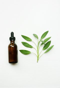 Natural sage essential oil with sage leaves on white  background.