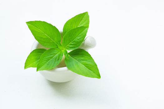 Basil in porcelain mortar and pestle  on white background.