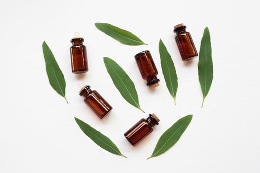 Eucalyptus oil bottle with  leaves on white background.