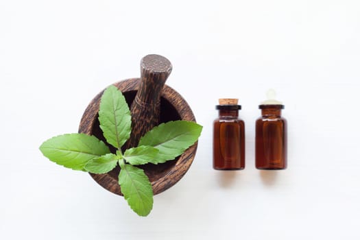 Holy basil essential oil with  fresh leaves.