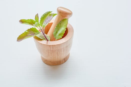 Holy basil  in wooden mortar on white background.