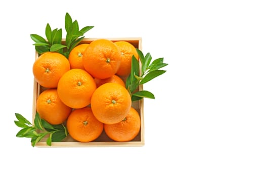 Fresh orange citrus fruit in wooden box isolated on white background.  Top view