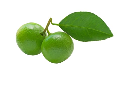 Fresh Lime isolated on white background.
