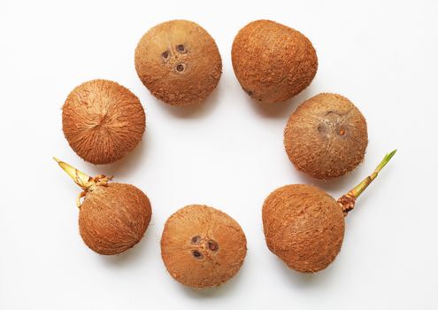 Coconuts on a white background. Top view.